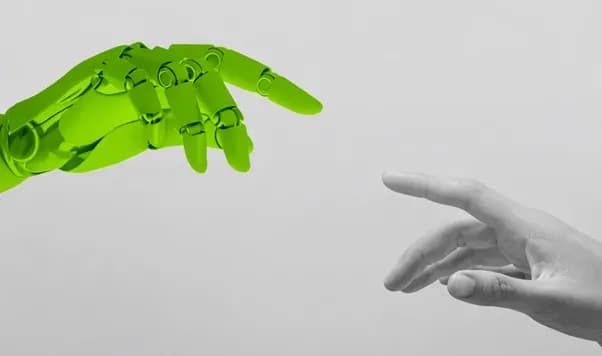 not defined in strapi